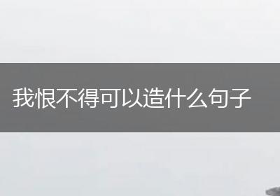 我恨不得可以造什么句子