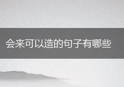 会来可以造的句子有哪些