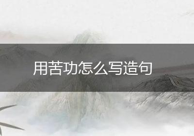 用苦功怎么写造句