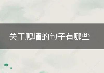 关于爬墙的句子有哪些