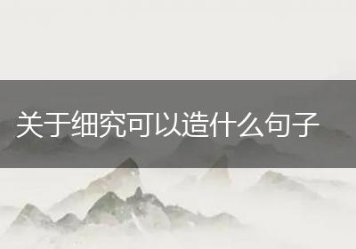 关于细究可以造什么句子