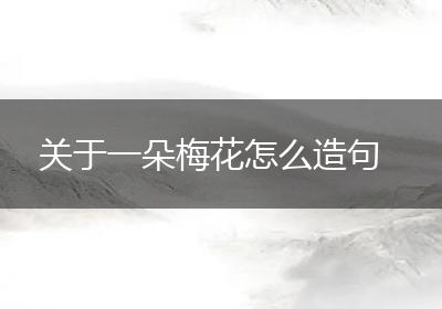 关于一朵梅花怎么造句