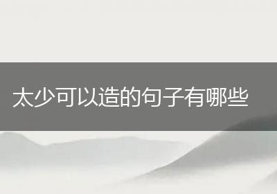 太少可以造的句子有哪些