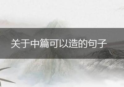 关于中篇可以造的句子