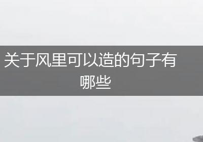 关于风里可以造的句子有哪些