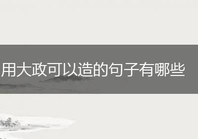 用大政可以造的句子有哪些