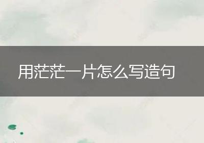 用茫茫一片怎么写造句