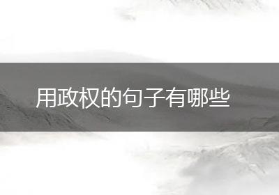 用政权的句子有哪些