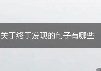 关于终于发现的句子有哪些