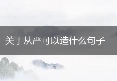 关于从严可以造什么句子