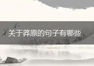 关于莽原的句子有哪些