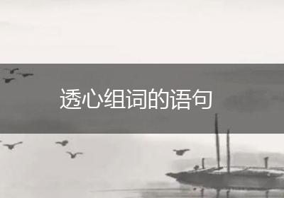 透心组词的语句