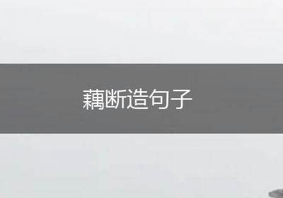 藕断造句子
