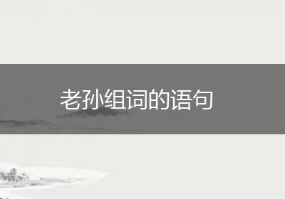 老孙组词的语句