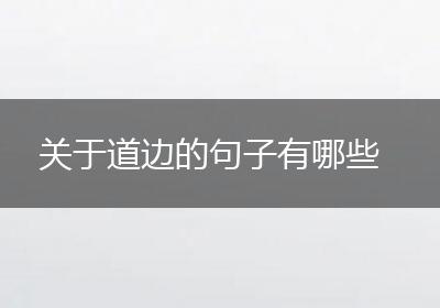 关于道边的句子有哪些