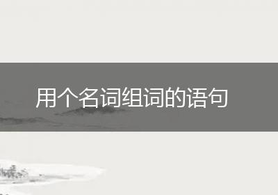 用个名词组词的语句