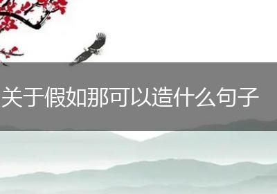 关于假如那可以造什么句子