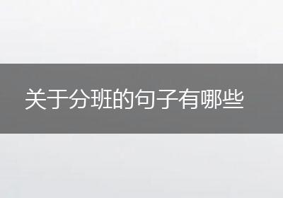 关于分班的句子有哪些