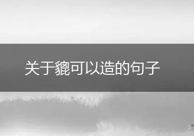 关于貔可以造的句子