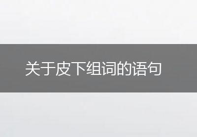 关于皮下组词的语句