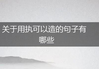 关于用执可以造的句子有哪些