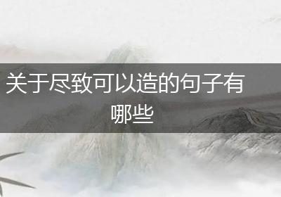 关于尽致可以造的句子有哪些
