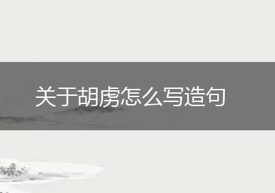 关于胡虏怎么写造句