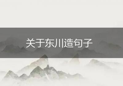 关于东川造句子