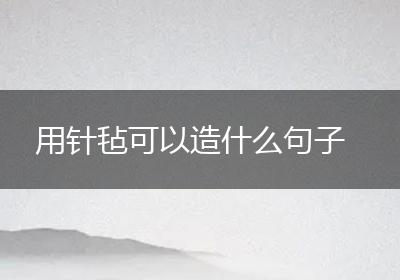 用针毡可以造什么句子