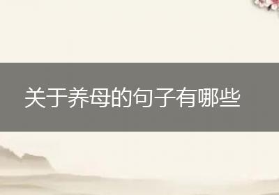 关于养母的句子有哪些