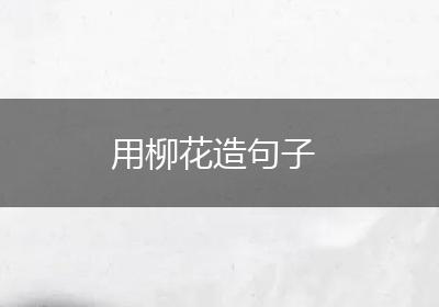 用柳花造句子