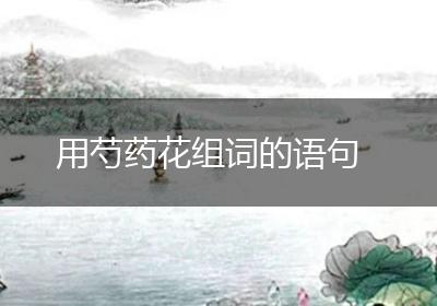 用芍药花组词的语句