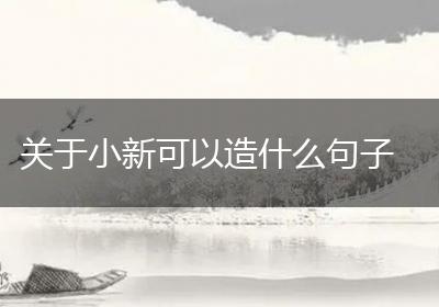关于小新可以造什么句子