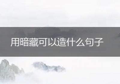 用暗藏可以造什么句子