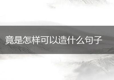 竟是怎样可以造什么句子