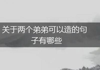 关于两个弟弟可以造的句子有哪些