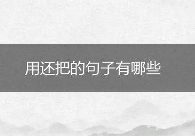 用还把的句子有哪些