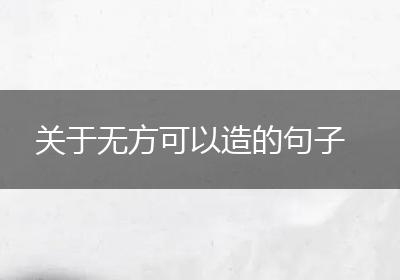 关于无方可以造的句子