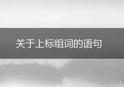 关于上标组词的语句