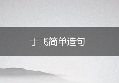 于飞简单造句