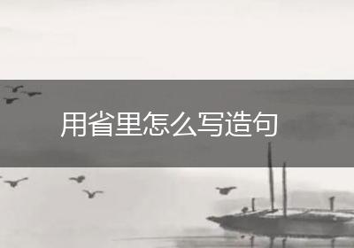 用省里怎么写造句