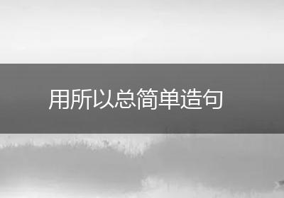 用所以总简单造句