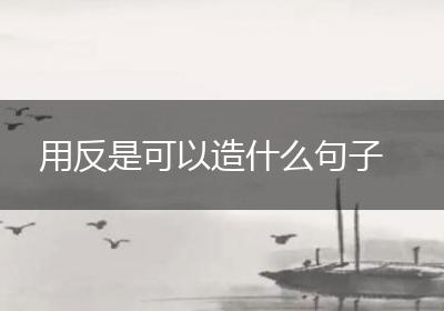 用反是可以造什么句子