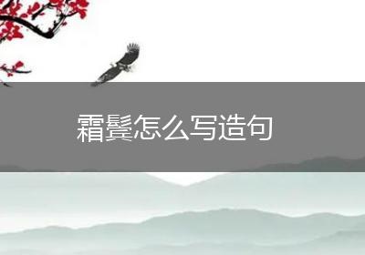 霜鬓怎么写造句
