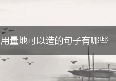用量地可以造的句子有哪些