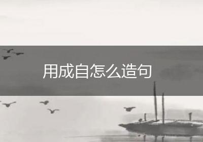 用成自怎么造句