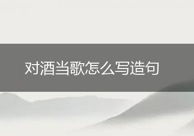 对酒当歌怎么写造句