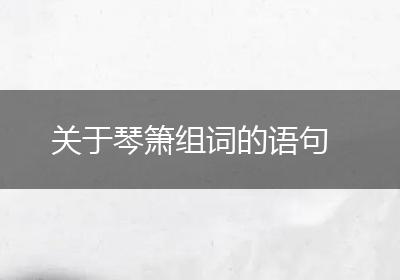 关于琴箫组词的语句