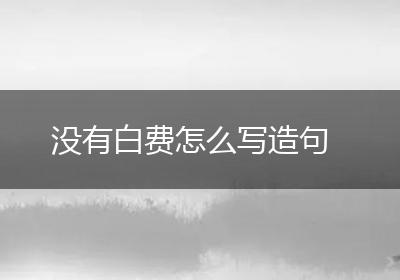 没有白费怎么写造句