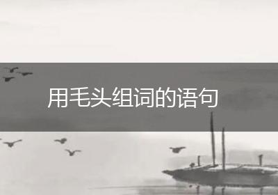 用毛头组词的语句